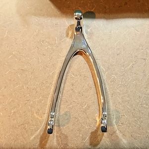 Lucky Break Collection Wishbone Wall Jewelry Hook – Silver